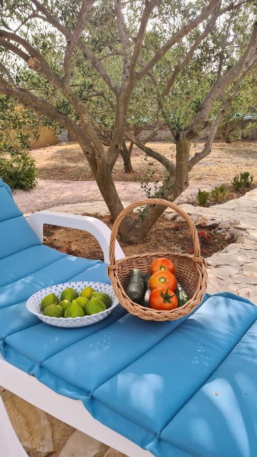 Villa Bubica- Cozy Holiday Home In Rural Area With Pool Stankovci  Экстерьер фото
